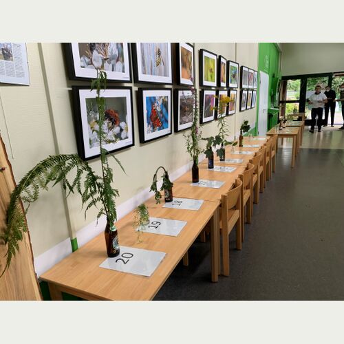 Erste Prüfung der Akademie der Artenkenntnis in Norddeutschland: 20 Pflanzen galt es zu bestimmen